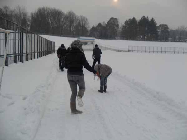 SAM_0239
